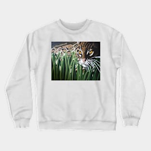 Ocelot Crewneck Sweatshirt